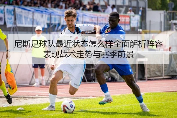 尼斯足球队最近状态怎么样全面解析阵容表现战术走势与赛季前景